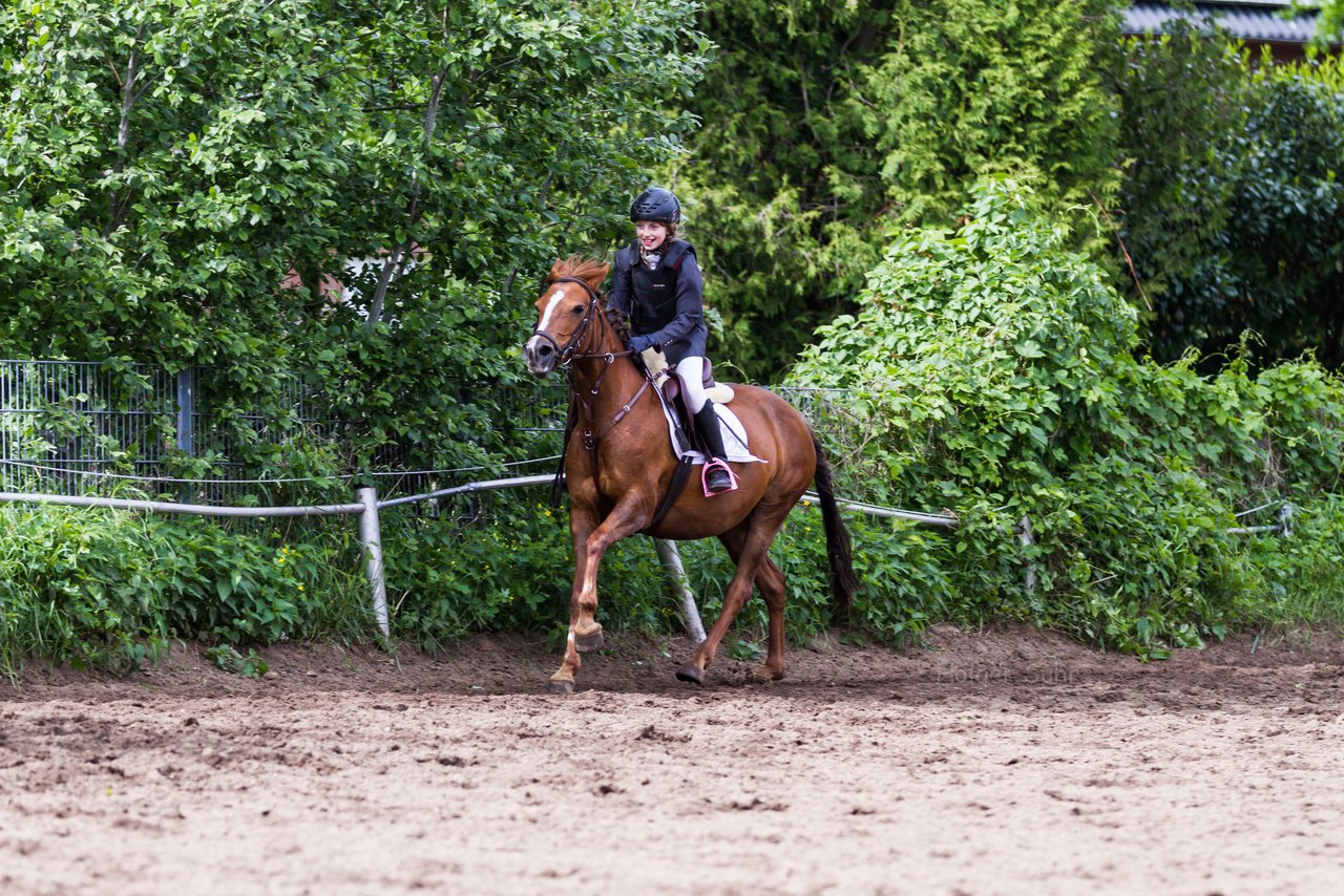 Bild 191 - Reitschule Janen Jubilum